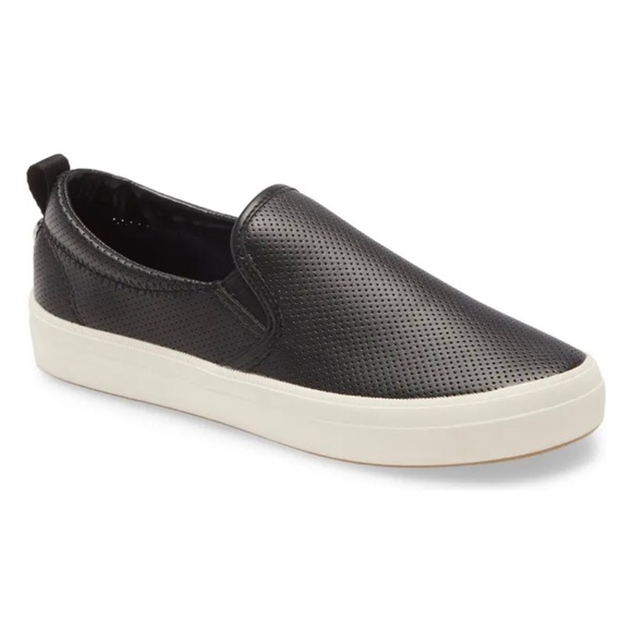 Steve Madden Daxon Sneaker - Picture 8 of 9